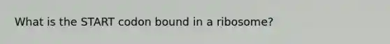 What is the START codon bound in a ribosome?