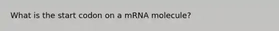 What is the start codon on a mRNA molecule?