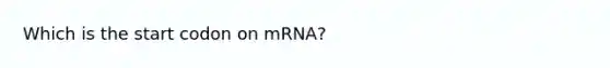 Which is the start codon on mRNA?