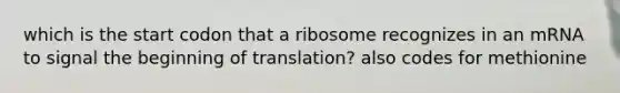 which is the start codon that a ribosome recognizes in an mRNA to signal the beginning of translation? also codes for methionine