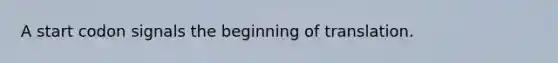 A start codon signals the beginning of translation.