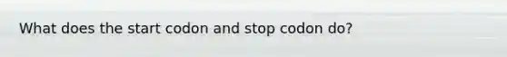 What does the start codon and stop codon do?