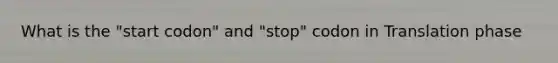 What is the "start codon" and "stop" codon in Translation phase