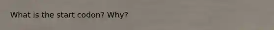 What is the start codon? Why?