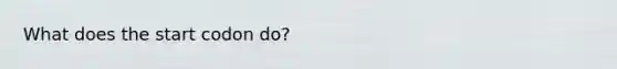 What does the start codon do?