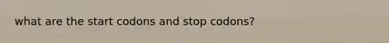 what are the start codons and stop codons?