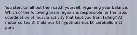 You start to fall but then catch yourself, regaining your balance. Which of the following brain regions is responsible for the rapid coordination of muscle activity that kept you from falling? A) motor cortex B) thalamus C) hypothalamus D) cerebellum E) pons