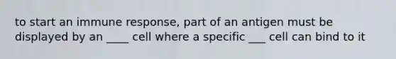 to start an immune response, part of an antigen must be displayed by an ____ cell where a specific ___ cell can bind to it