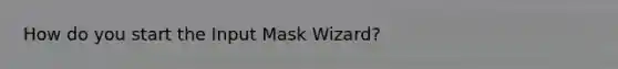 How do you start the Input Mask Wizard?