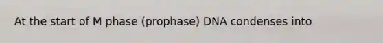 At the start of M phase (prophase) DNA condenses into