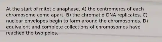 At the start of mitotic anaphase, A) the centromeres of each chromosome come apart. B) the chromatid DNA replicates. C) nuclear envelopes begin to form around the chromosomes. D) equivalent and complete collections of chromosomes have reached the two poles.