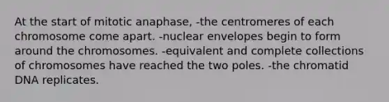 At the start of mitotic anaphase, -the centromeres of each chromosome come apart. -nuclear envelopes begin to form around the chromosomes. -equivalent and complete collections of chromosomes have reached the two poles. -the chromatid DNA replicates.