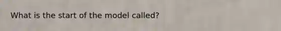 What is the start of the model called?