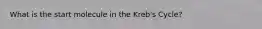 What is the start molecule in the Kreb's Cycle?