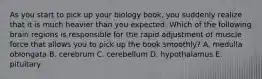 As you start to pick up your biology book, you suddenly realize that it is much heavier than you expected. Which of the following brain regions is responsible for the rapid adjustment of muscle force that allows you to pick up the book smoothly? A. medulla oblongata B. cerebrum C. cerebellum D. hypothalamus E. pituitary