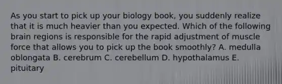 As you start to pick up your biology book, you suddenly realize that it is much heavier than you expected. Which of the following brain regions is responsible for the rapid adjustment of muscle force that allows you to pick up the book smoothly? A. medulla oblongata B. cerebrum C. cerebellum D. hypothalamus E. pituitary