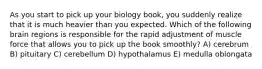 As you start to pick up your biology book, you suddenly realize that it is much heavier than you expected. Which of the following brain regions is responsible for the rapid adjustment of muscle force that allows you to pick up the book smoothly? A) cerebrum B) pituitary C) cerebellum D) hypothalamus E) medulla oblongata