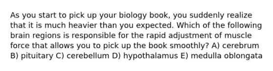 As you start to pick up your biology book, you suddenly realize that it is much heavier than you expected. Which of the following brain regions is responsible for the rapid adjustment of muscle force that allows you to pick up the book smoothly? A) cerebrum B) pituitary C) cerebellum D) hypothalamus E) medulla oblongata