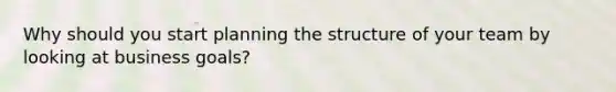 Why should you start planning the structure of your team by looking at business goals?