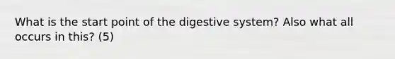 What is the start point of the digestive system? Also what all occurs in this? (5)