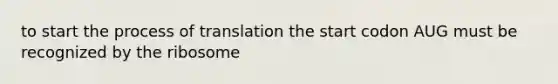 to start the process of translation the start codon AUG must be recognized by the ribosome