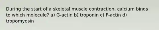 During the start of a skeletal muscle contraction, calcium binds to which molecule? a) G-actin b) troponin c) F-actin d) tropomyosin