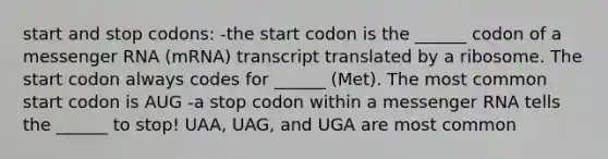 start and stop codons: -the start codon is the ______ codon of a <a href='https://www.questionai.com/knowledge/kDttgcz0ig-messenger-rna' class='anchor-knowledge'>messenger rna</a> (mRNA) transcript translated by a ribosome. The start codon always codes for ______ (Met). The most common start codon is AUG -a stop codon within a messenger RNA tells the ______ to stop! UAA, UAG, and UGA are most common