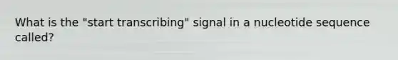 What is the "start transcribing" signal in a nucleotide sequence called?