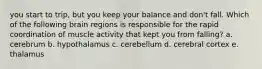 you start to trip, but you keep your balance and don't fall. Which of the following brain regions is responsible for the rapid coordination of muscle activity that kept you from falling? a. cerebrum b. hypothalamus c. cerebellum d. cerebral cortex e. thalamus