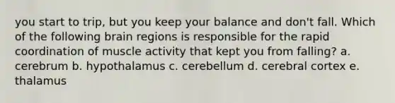 you start to trip, but you keep your balance and don't fall. Which of the following brain regions is responsible for the rapid coordination of muscle activity that kept you from falling? a. cerebrum b. hypothalamus c. cerebellum d. cerebral cortex e. thalamus