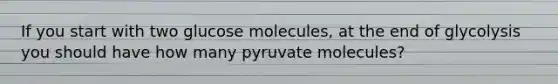 If you start with two glucose molecules, at the end of glycolysis you should have how many pyruvate molecules?