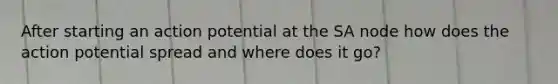 After starting an action potential at the SA node how does the action potential spread and where does it go?
