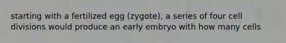 starting with a fertilized egg (zygote), a series of four cell divisions would produce an early embryo with how many cells