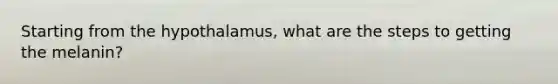 Starting from the hypothalamus, what are the steps to getting the melanin?