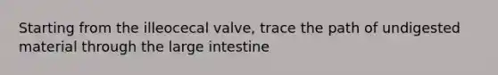 Starting from the illeocecal valve, trace the path of undigested material through the large intestine