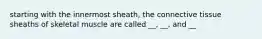 starting with the innermost sheath, the connective tissue sheaths of skeletal muscle are called __, __, and __