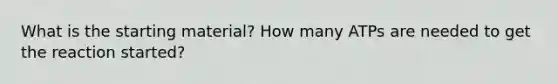 What is the starting material? How many ATPs are needed to get the reaction started?