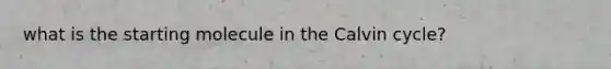 what is the starting molecule in the Calvin cycle?