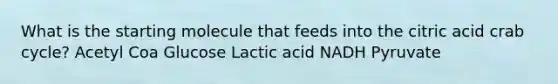 What is the starting molecule that feeds into the citric acid crab cycle? Acetyl Coa Glucose Lactic acid NADH Pyruvate