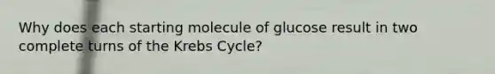 Why does each starting molecule of glucose result in two complete turns of the Krebs Cycle?