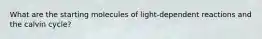 What are the starting molecules of light-dependent reactions and the calvin cycle?