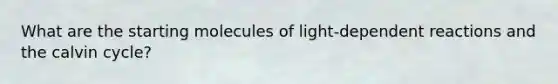 What are the starting molecules of light-dependent reactions and the calvin cycle?