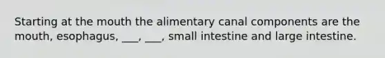 Starting at the mouth the alimentary canal components are the mouth, esophagus, ___, ___, small intestine and large intestine.