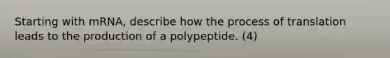 Starting with mRNA, describe how the process of translation leads to the production of a polypeptide. (4)