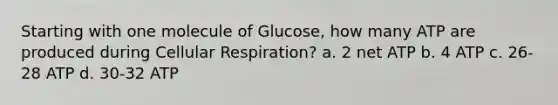 Starting with one molecule of Glucose, how many ATP are produced during Cellular Respiration? a. 2 net ATP b. 4 ATP c. 26-28 ATP d. 30-32 ATP