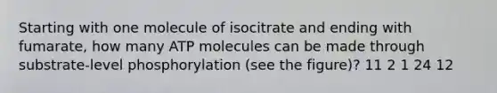 Starting with one molecule of isocitrate and ending with fumarate, how many ATP molecules can be made through substrate-level phosphorylation (see the figure)? 11 2 1 24 12