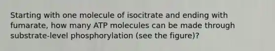 Starting with one molecule of isocitrate and ending with fumarate, how many ATP molecules can be made through substrate-level phosphorylation (see the figure)?