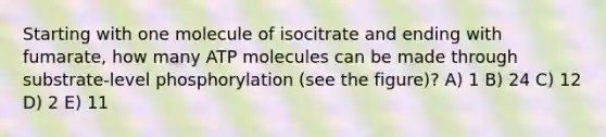 Starting with one molecule of isocitrate and ending with fumarate, how many ATP molecules can be made through substrate-level phosphorylation (see the figure)? A) 1 B) 24 C) 12 D) 2 E) 11