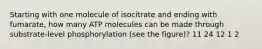 Starting with one molecule of isocitrate and ending with fumarate, how many ATP molecules can be made through substrate-level phosphorylation (see the figure)? 11 24 12 1 2