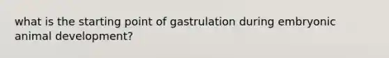 what is the starting point of gastrulation during embryonic animal development?